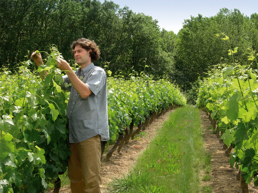 Ambiance du domaine Baudare